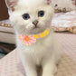 16 PCS Cute Cat Collars Breakaway with Bell for Boy Cats and Girl Cats Gifts (#5-Multicolor Plaid)
