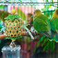 Bird Toys for Conures Parakeet, Birds Cage Accessories, Bird Shredding Foraging Toys for Cage