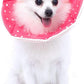 Adjustable Dog Cat Cone,Soft Recovery Cat Cone Collar,Dog Protective Collar for Cats,Puppy and Small Dogs,Pink