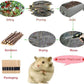 250g Apple Sticks Small Animals Molar Wood Treats Toys for Rabbits Chinchillas Guinea Pig Hamster Gerbil Parrot Bunny and Small Animals Chew Stick Toys Treats