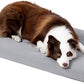 Cybarmour Indestructible Dog Bed - Outdoor Waterproof Chew Proof Dog Crate Pad - Orthopedic Kennel Mat for Aggressive Chewers - Large Breeds & Fits 36-Inch Crate - 35"x22", Limestone
