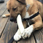 Brazilian Pet Premium Retriever Rolls 10-11 inches (10 Pack),100% Natural Dog Treat Chew. No Artificial Preservatives