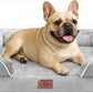 Comfort Expression Small Dog Beds Waterproof Orthopedic Foam Dog Sofa Beds for Medium Dogs Comfy Pet Bed with Washable Removable Cover & Non-Slip Bottom(Small,Grey White)