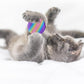 BLMHTWO 12PCS Rainbow Cat Toys, EVA Foam Balls 1.65inch Lightweight Colorful Interactive Pet Balls for Cats, Kittens, Puppy (6 Colors)