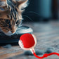 Interactive Pet Chase Toy - Rechargeable, Motion Ball, Self-Moving Kitten Toy for Indoor Interactive Playing, Smart Cat Rolling Ball