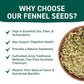 Fennel Seeds (397g/14oz) Tested for Quality | Raw Fennel Seed | Perfect for Cooking, Teas, Smoothies & Lattes | Bulk Whole Seeds in Resealable Zip Lock Pouch