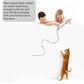Cat Wand Toys Interactive Kitten Toys Cat Teaser Wand String Feather for Indoor Colorful Ribbon Wands Stick Toy Cat Charmer-3 Packs