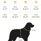 2025 New Edition, Fei & Eve MagEase Dog Harness - 3-Second Magnetic Buckles | 3-Point No-Pull Control | Heavy-Duty 900D Nylon | Dual Safety Handles | Breathable Mesh | Adjustable Fit,X-Large,Champagne