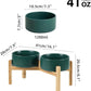 Ceramic Raised Double Bowls Set with Stand, Food & Water Bowls for Medium Breed Dogs, Weighted Dog Dishes, Pet Bowl(7.3'',41OZ, Green)