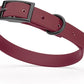 Dogline Biothane Waterproof Dog Collar Strong Coated Nylon Webbing with Black Hardware Odor- Proof for Easy Care Easy to Clean High Performance Fits Small Medium or Large Dogs, Merlot Burgundy