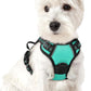 rabbitgoo Dog Harness No Pull with 2 Leash Clips, Adjustable Soft Padded, Reflective Oxford No Choke Pet Vest with Easy Control Handle for Puppy, Turquoise, XS