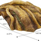Reptile Hide Resin Tree Stump Snake Hide and Cave Hideout Terrarium Habitat Reptile Tank Accessories Decor Leopard Gecko Habitat Shelter for Bearded Dragon Corner Lizard Spider Frog Amphibians