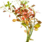 Live Plant - Ludwigia Ovalis - Easy Care, Moderate to High Light, Green to Orange Accent, Freshwater Aquatic Plant for Aquascaping - Lead Bunch