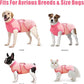 Idepet Dog Recovery Suit Female,Dogs Onesie Suit Surgery Male Breathable Pet Bodysuit for Spay Neuter E-Collar & Cone Alternative Surgical Suit Puppy Abdominal Anti Licking Wounds Shirt (Pink, M)