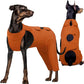 Kuoser Recovery Suit for Back Legs, Thigh Wound Protective Sleeve, Recovery Sleeve for Female Male Dogs, Onesie After Surgery, Pet Surgical Suit for Spay Neuter, Brown L