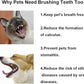 Cat Toothbrush, Soft Small Dog Dental Toothbrush Silicone, Easy Teeth Cleaning Head, Pet Deep Clean Dense Brush, Safe and Effective Oral Care, Brush Away Bad Breath, Easy to Handle, Blue