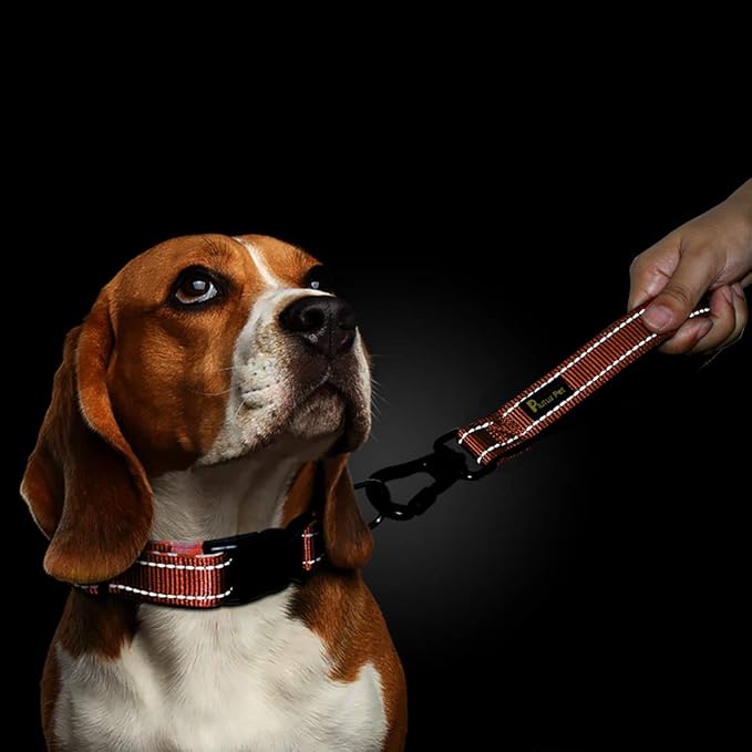 PLUTUS PET 10” Short Dog Leash, Reflective Nylon Padded Handle, Strong Traffic Leash with Carabiner Clip, Perfect for Large or Medium Dogs（10”，Orange