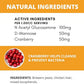 Under The Weather Pet Urinary Tract Support Powder for Cats | Vet Formulated Natural Supplements for Cats and Kittens | Promote Healthy Urinary Tract and Immune System - 60 Day Supply, 120 Scoops
