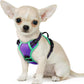 Eagloo Small Dog Harness No Pull, Service Vest with Reflective Strips and Control Handle, Adjustable and Comfortable for Walking, No Choke Pet Harness with 2 Metal Rings, Purple & Green, XS