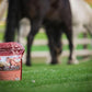 Glow 10 lb, Aids in Weight Gain and Improves Coat and Condition, Includes Omega-3’s