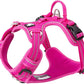 TRUE LOVE Dog Harness No Pull Nylon Reflective Pet Harness Adjustable Comfortable Control Step-in Brilliant Colors Truelove TLH56512 XS Fuchsia