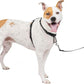 PetSafe 3 in 1 Dog Harness - No Pull Solution for Dogs - Reflective Dog Harness - Front D-Ring Clip Helps Stop Pulling - Comfortable Padded Straps - Top Handle Enhances Control - Black - Medium