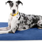 K9 Ballistics Tough Ripstop Orthopedic Dog Crate Bed - Durable Pad with Washable Cover, for Wire Crates, Tie-Downs Included, Size: XX-Large 53"x36", Blue Quartz
