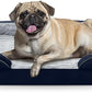 FURTIME Orthopedic Dog Bed for Small Dogs - Waterproof Dog Sofa Beds Small, Supportive Foam Pet Couch Bed with Removable Washable Cover, Waterproof Lining and Nonskid Bottom, Navy Blue