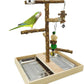 Tfwadmx Bird Perch Natural Wood Stand Toy Parrot Play Stand Platform Bird Cage with Removable Tray and 2 Stainless Steel Cups for Parakeets Canaries Cockatiels Conure Lovebirds