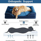 WNPETHOME Dog Beds for Large Sized Dogs, Washable Orthopedic Dog Couch Sofa Bed with Waterproof Lining & Non-Skid Bottom for Pet Sleeping