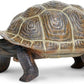 Safari Ltd. Tortoise Baby Figurine - Detailed 5.5" Plastic Model Figure - Fun Educational Play Toy for Boys, Girls & Kids Ages 18M+