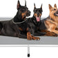 Veehoo Chew Proof Elevated Dog Bed - Cooling Raised Pet Cot - Silver Aluminum Frame and Durable Textilene Mesh Fabric, Unique Designed No-Slip Feet for Indoor or Outdoor Use, Grey, XX-Large, CWC2003