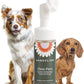 Dandylion Clean Paws | No-Rinse Dog Paw Cleaner & Puppy Paw Washer | Gentle, Fragrance-Free, pH Balanced Foaming Cleanser with Silicone Bristle Brush | Safe for All Dogs | 5 fl oz