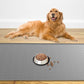 48" x 32" XXXL Largest Pet Food Mat, Silicone Dog Mats for Food and Water, Nonslip Pet Feeding Mats for Floors,Dog Cat Bowl Mat with Raised Edges, Light Gray