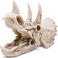 Fish Hideout Cave Dinosaur Animal Skull Reptile Ornament Halloween Décor for Terrarium Aquarium Large Decorations Betta Tarantula Snake Decor Bones