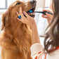 Pet Toothbrushing Assistant for Dogs and Cats Allows You to Brush Your pet’s Teeth Without Constantly Worrying About Getting Bitten Medium Size for Pets Between 15-85 lbs. (7-38.5 Kg)