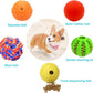 5 Different Functions Interactive Dog Toys for Puppies, Puppy Puzzle Toys for Small Dogs, Dog Balls for Small Dogs, Treat Dispensing Dog Toys, Squeaky Ball, Small Breed