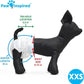 Paw Inspired Disposable Dog Diapers, Female Dog Diapers Ultra Protection, Diapers for Dogs in Heat, Excitable Urination, or Incontinence, XXS 32 Count