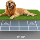 Dog Grass Pad with Tray, 34"x22" Silicone Base Washable Reusable Pee Pad & Grass Pad - Non-Slip, Easy-Clean Indoor Outdoor Dog Potty Toilet (34" x 22")