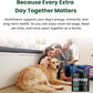 Canine NutriGreens - Natural Dog Vitamins & Probiotics for Dogs. No Messy Powder. Includes Spirulina, Kelp & Antioxidant Berry Mix. 6-in-1 Dog Supplements & Vitamins Chews. Super Greens for Dogs.