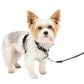 PetSafe 3 in 1 Dog Harness - No Pull Solution for Dogs - Reflective Dog Harness - Front D-Ring Clip Helps Stop Pulling - Comfortable Padded Straps - Top Handle Enhances Control - Black - Extra Small