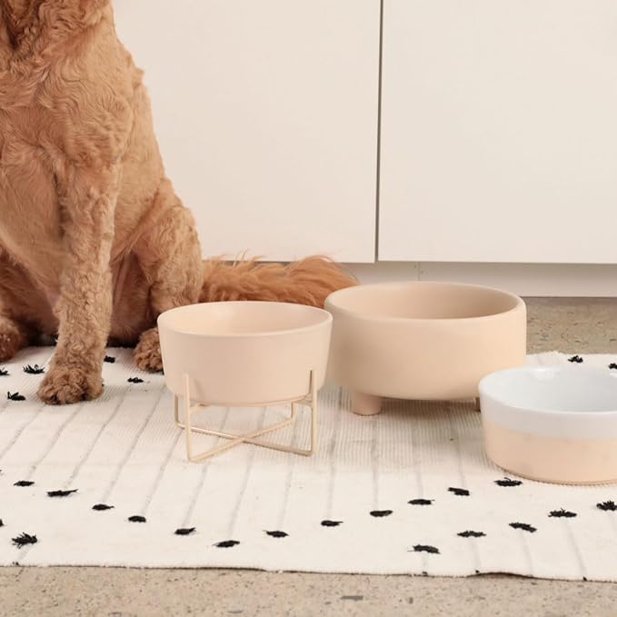 Waggo Uplift Ceramic Dog Bowl for Small Medium and Large Breeds - Heavyweight and Durable Pet Food and Water Dish Crock, Dishwasher Safe, Modern, Elevated Feeder (Buttercream, Large)
