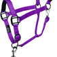 Majestic Ally Leather Halter with Matching Lead Rope for Horses – Leather Breakaway Crown - Adjustable Chin Strap – Rolled Throat Latch – Padded Noseband – Full (Purple, Full)