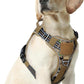 rabbitgoo Dog Harness Medium Sized No Pull, Tactical Service Pet Vest with Molle and Control Handle, Adjustable and Reflective Military Harness for Easy Walking and Training, Brown camo, M