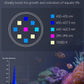Pawfly 15 W Saltwater Aquarium Light Clip On LED Reef Light for Corals Dimmable LED Aquarium Light with Touch Control Marine Fish Tank Light with Adjustable Brightness Brilliant Blue White Red Lights