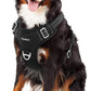 Funfox Dog Harness No Pull, Adjustable Dog Vest Harness Super Soft, 2 Leash Clips Anti Pull, Vertical Handle Easy to Control, Reflective Night Walking for XLarge Breed, Black, XL