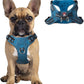 Dog Harness Step in Dog Vest Harness, Reflective Adjustable Puppy No Pull Harness Breathable Soft for Small and Medium Dogs Cats, Blue/Black, S