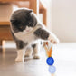 PET SHOW 10 Pack Cat Toys - Woolen Yarn Cat Balls, Interactive Mesh Feather Ball, String Toy for Indoor Cats, Chase Training Activity for Kittens
