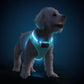 PceoTllar Light Up Dog Harness, LED No Pull Reflective Dog Harness, Flashing Lighted for Night Walking - Small/Medium, (Blue S)