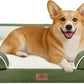 Comfort Expression Medium Dog Beds Waterproof Orthopedic Foam Dog Sofa Beds for Medium Large Dogs Comfy Pet Bed with Washable Removable Cover & Non-Slip Bottom(Medium,Light Green)